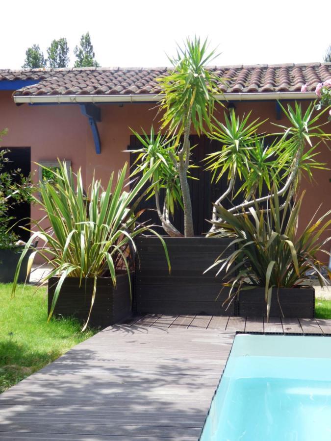 Labastide-Saint-Pierre Arche De Lanoe Jacuzzi B&B 외부 사진